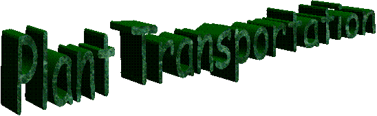 Plant Transportation