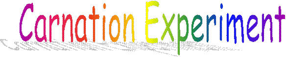 Carnation Experiment