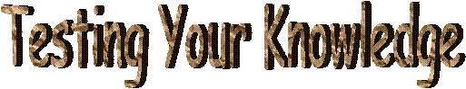 Testing Your Knowledge
