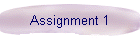 Assignment 1
