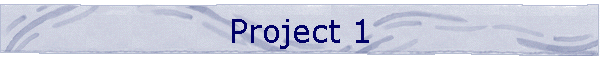 Project 1