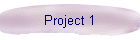 Project 1