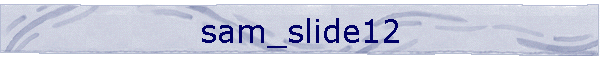 sam_slide12