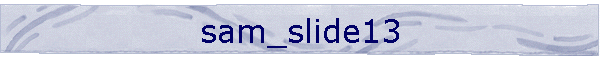 sam_slide13
