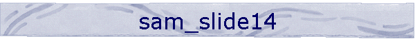 sam_slide14