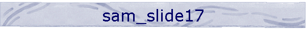 sam_slide17