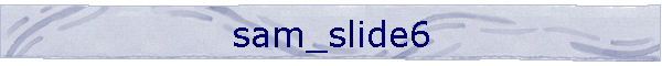 sam_slide6