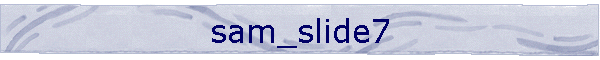 sam_slide7