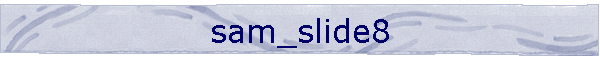 sam_slide8